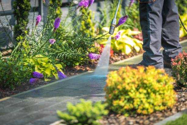 Best Spring Cleaning  in Sheldon, TX