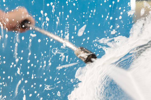 Animal Enclosure Cleaning in Sheldon, TX