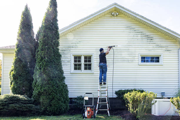 Best Fence Cleaning  in Sheldon, TX