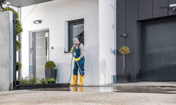 Best Graffiti Removal  in Sheldon, TX